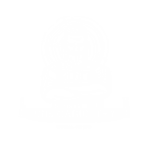 DNS Cabinetry Logo
